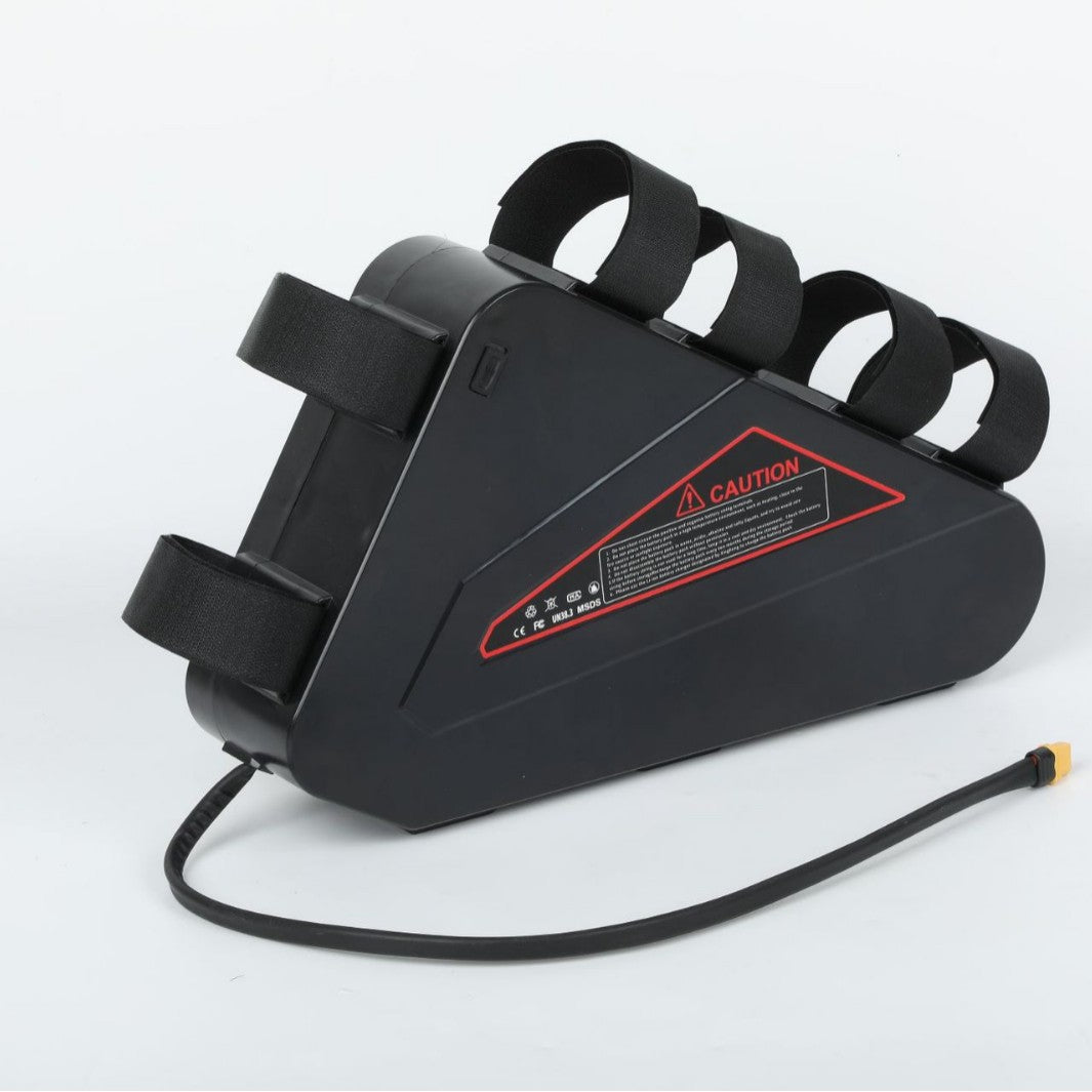 Triangular Lithium Battery Pack for Electric Vehicles