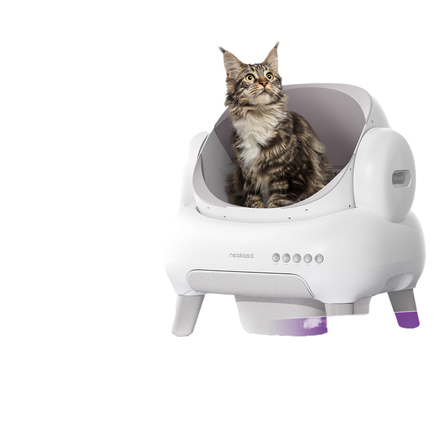 Fully automatic cat litter box