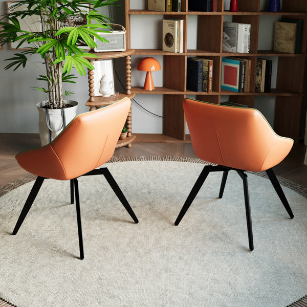 Medieval-style modern kitchen dining chairs