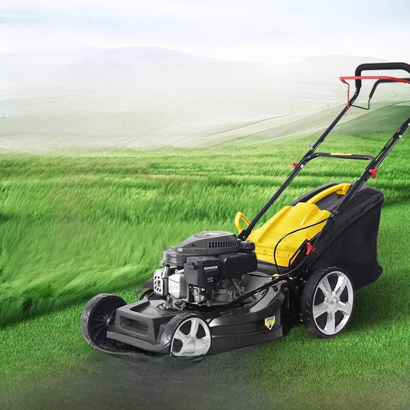 Gasoline Self-Propelled Lawn Mower 1