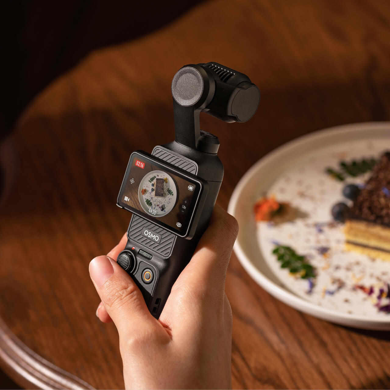Gimbal Camera 1
