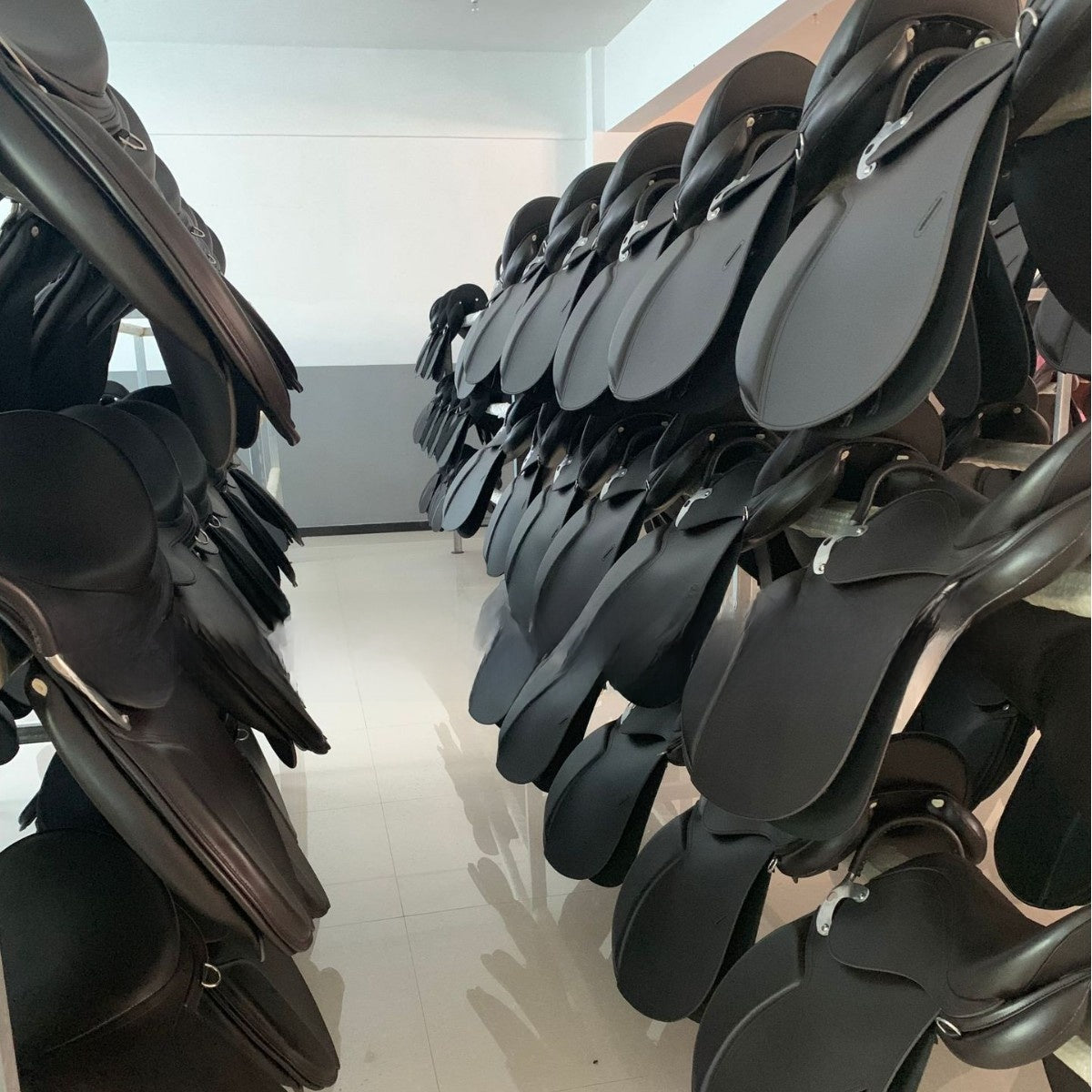 Combined Equestrian Tack 4