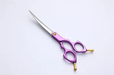 Pet Scissors Set