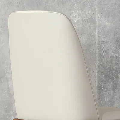 Dining Chairs Set of 2
