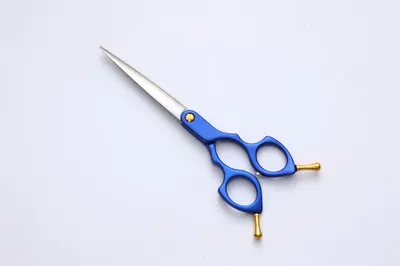 Pet Scissors Set