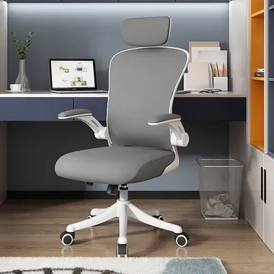 Ergonomic Mesh Office Chair for Long Hours & Back Pain Relief – Adjustable Lumbar Support & Headrest, High-Density Foam Cushion