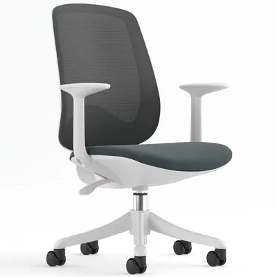 Office Chair-Stylish Desk Chair with Breathable Mesh Finish  Without Lumbar Support