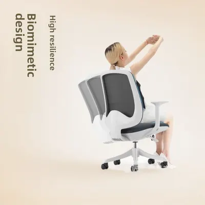  Mesh Office Chair Ergonomic with Rollers for Easy Movement  global-swanky 1