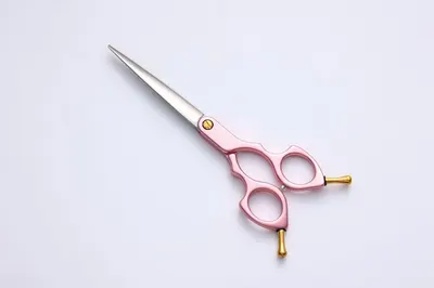 Pet Scissors Set