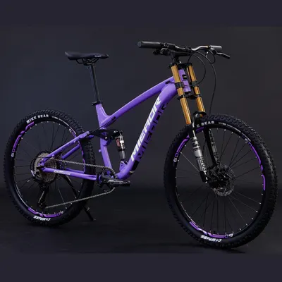 Buy Aluminum Alloy Soft Tail Mountain Bike with Oil Brake Damping globalswanky 04