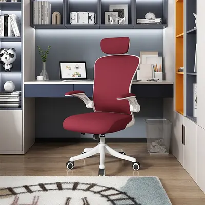 Ergonomic Mesh Office Chair for Long Hours & Back Pain Relief – Adjustable Lumbar Support & Headrest, High-Density Foam Cushion
