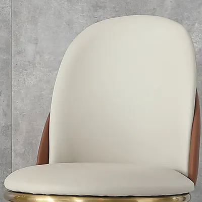 Dining Chairs Set of 2