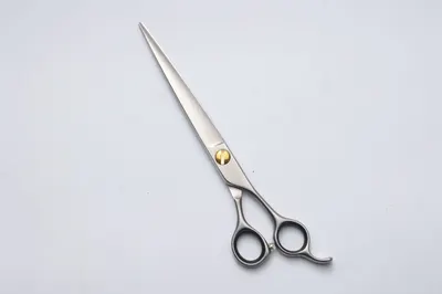 Pet Scissors Set
