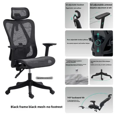 Ergonomic Mesh Office Chair, High Back Executive Chair with Adjustable Lumbar Support