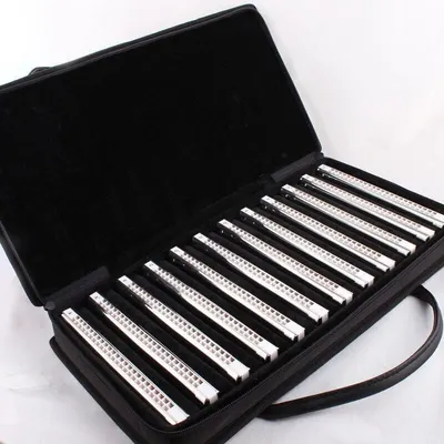 musical harmonica