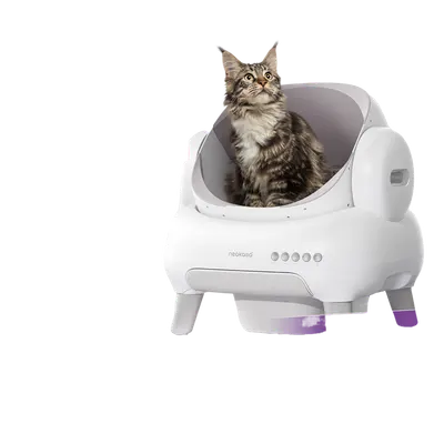 Fully automatic cat litter box