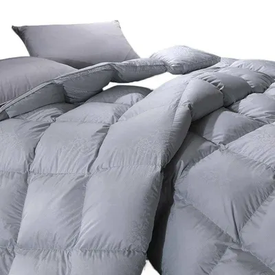 White goose down and duck down quilt
