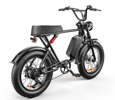 C91 20 Inch 20A Electric Bike for Daily Travel City Commute globalswanky 3