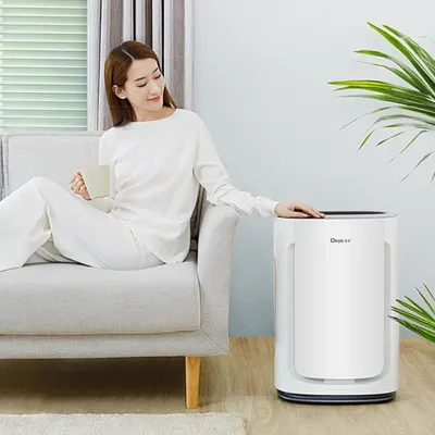 Electric Dehumidifier Appliance