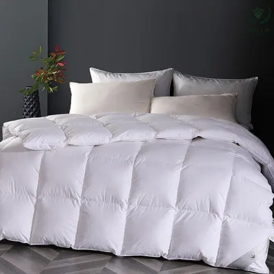 White goose down and duck down quilt