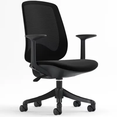 Office Chair-Stylish Desk Chair with Breathable Mesh Finish  Without Lumbar Support