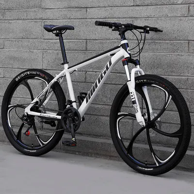 Buy Mountain Bike Bicycle 24 26 Inch Disc Brake Shock Absorption