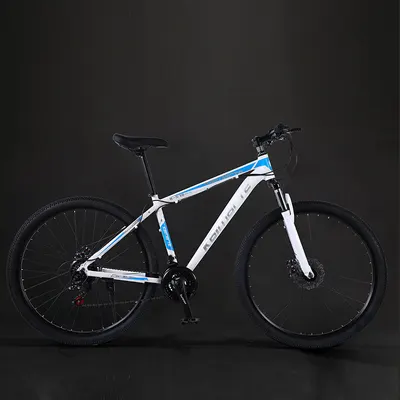 Aluminum Alloy Mountain Bike – Disc Brake & Shock Absorption