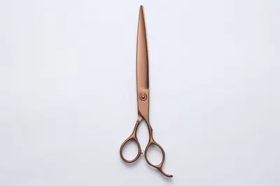 Pet Scissors Set